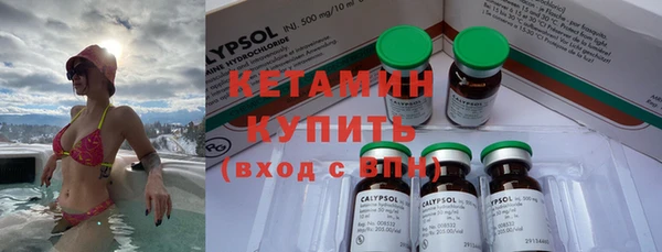 крисы Баксан