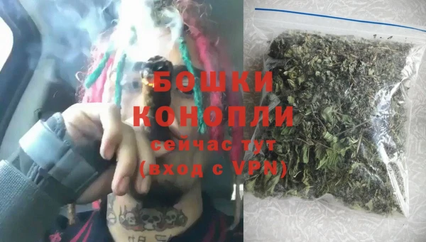 крисы Баксан