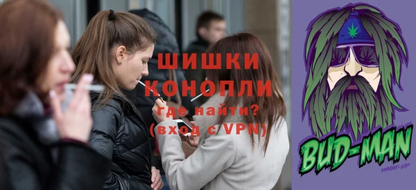 крисы Баксан