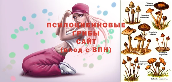 крисы Баксан